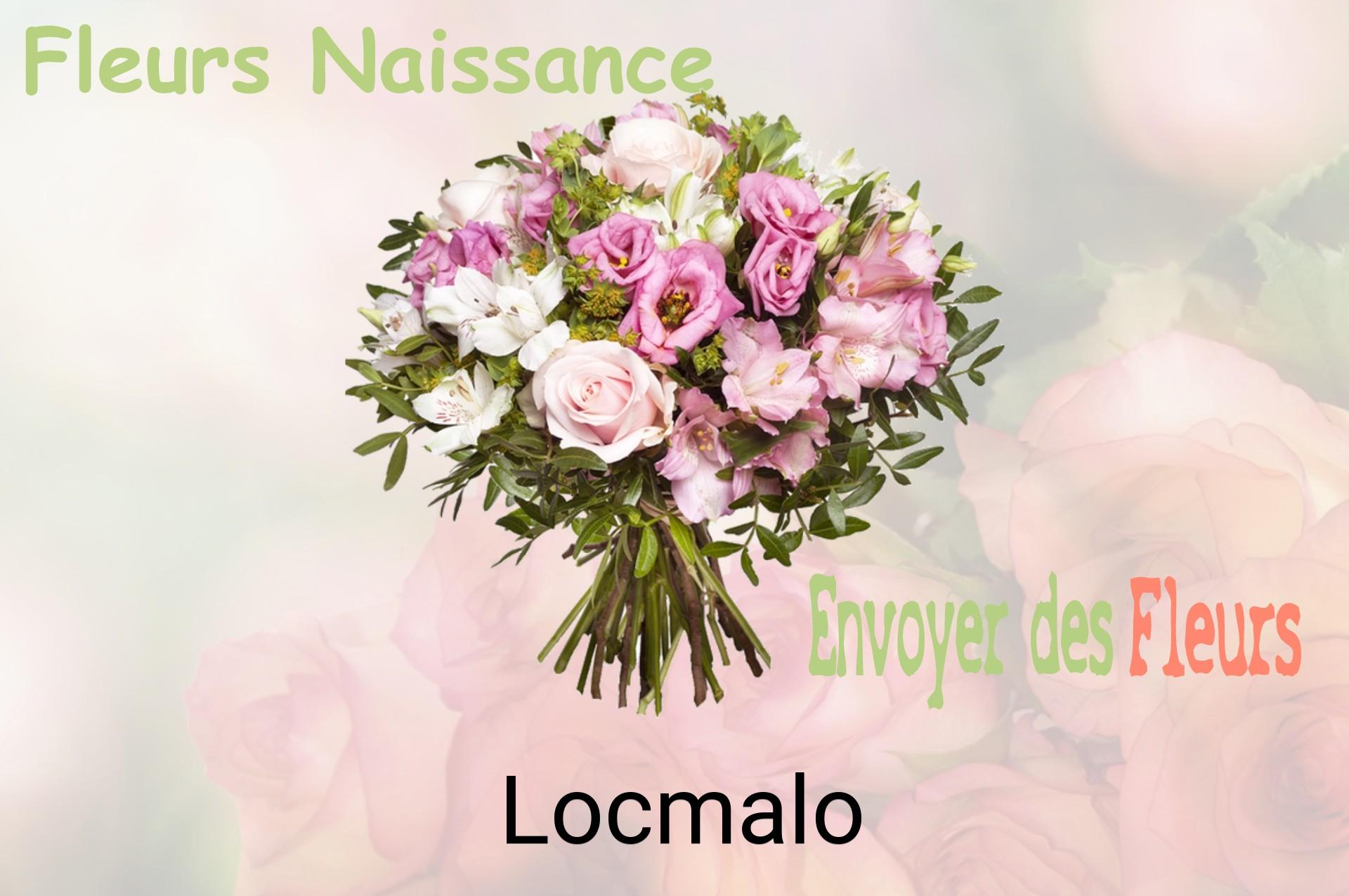 Bouquet de fleurs de naissance livré à Locmalo