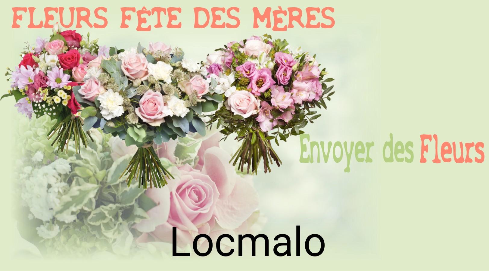 Bouquet de Fête des Mères livré à Locmalo